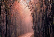 nba虎扑官网:曝皇马欲签B费接班莫德里奇,几乎每场都考察他!曼联想要9000万.