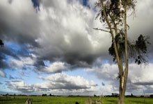 nba虎扑官网:欧冠-凯恩传射科曼破门 拜仁3-1加拉塔萨雷.