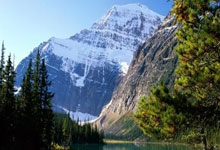 阿根廷在2022年世界杯夺冠的五大关键功臣.