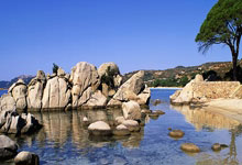 nba虎扑官网：威尔斯轰13+3！赵继伟9+2+8，弗格16分，奥利弗11+8,辽篮领先10分.